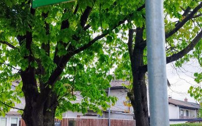 Pohod, Pot ob žici, sobota, 10.5.2025